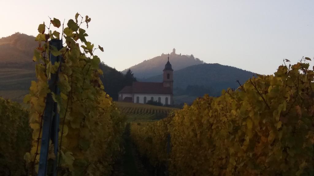 Appartement Au Coeur D'alsace