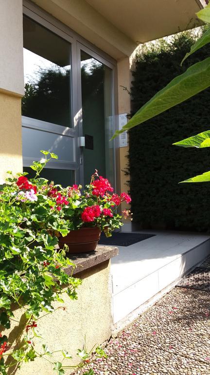 Au Coeur D'alsace Appartement Colmar