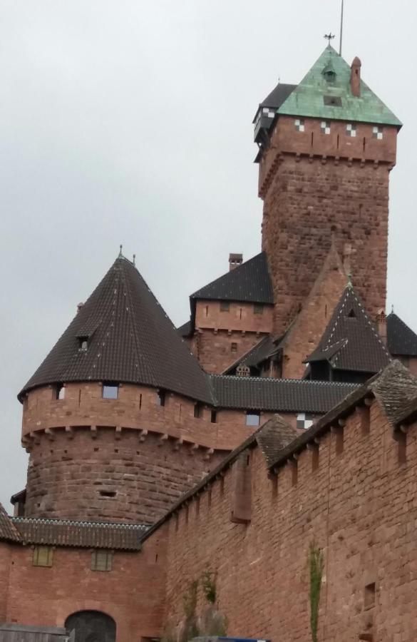 Au Coeur D'alsace Appartement *